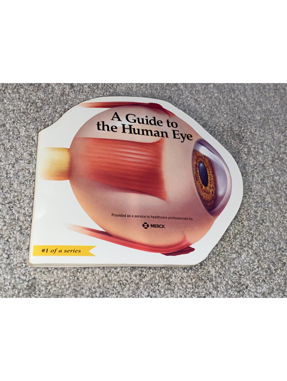 A GUIDE TO THE HUMAN EYE (Humanatomy #1) Tim Peters - optometry ophthalmology